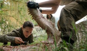 Annihilation-Review